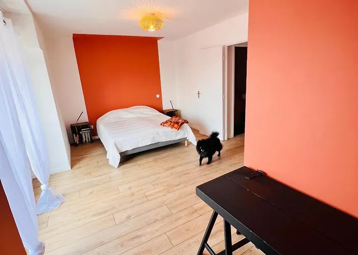 Duplex Premium A Deux Pas De Lille 아파트 *