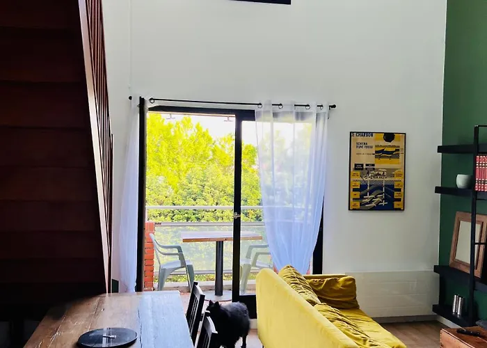 Duplex Premium A Deux Pas De Lille *